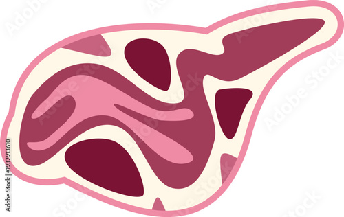 Pancreas representing human anatomy, internal organ, endocrine, and digestive systems vector