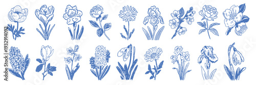 Hand drawn spring flower doodles and botanical sketches for floral design and garden concepts