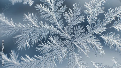 Frost crystals on glass. A close-up view of frost crystals slowly forming on a glass surface, delicate ice patterns spreading outward.