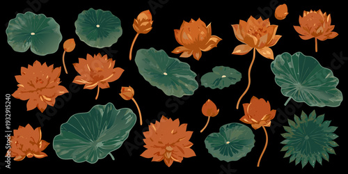 Stylized illustration of lotus flowers and lily pads in varying stages