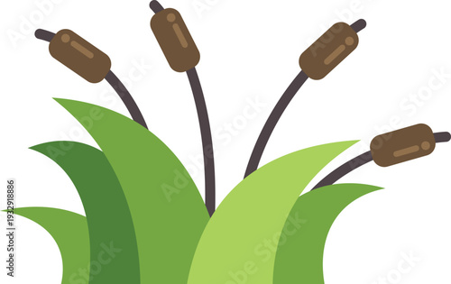 Cattails growing among green marsh grass on a white background