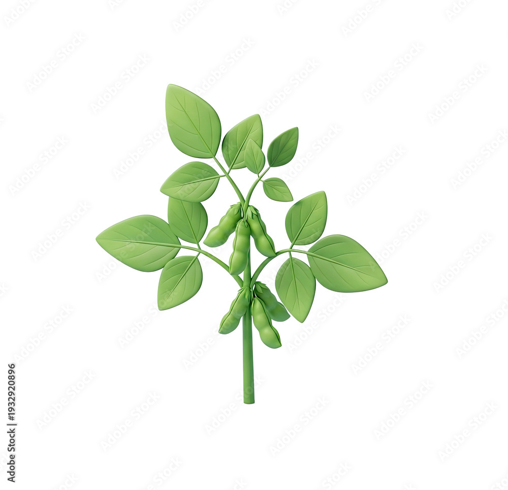 Obraz premium A green plant with leaves and pods on a png transparent.