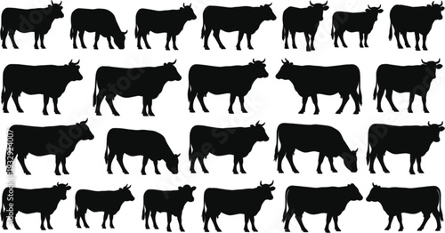 Set of cow silhouettes farm animal cattle livestock bull heifer and calf icons collection for dairy meat production branding