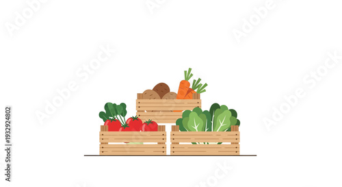 Fresh vegetable crates illustration farm harvest set