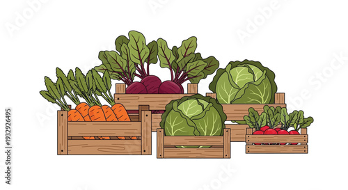 Fresh vegetable illustration in wooden crates