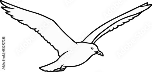 Black and white drawing of a bird in flight with wings spread wide