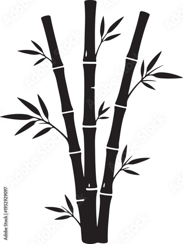 A black and white image of a bamboo plant