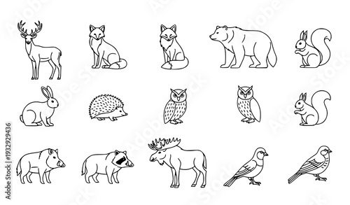 Forest animals line art vector collection with wild woodland creatures in clean black and white outline style