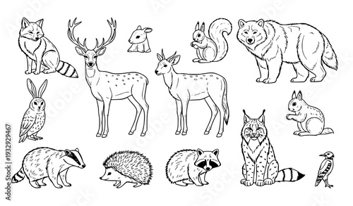 Black and white forest wildlife line art vector set with hand drawn woodland animal outlines