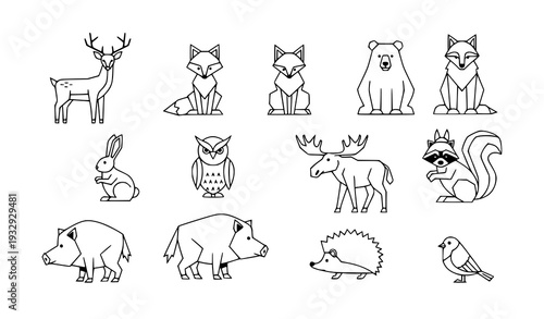 Minimal forest animal outline icons in black and white vector line art collection