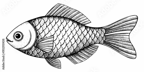 Detailed sketch of a fish with intricate scale and fin patterns