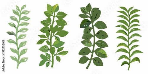 Four green plant stems with varying leaf shapes and shades