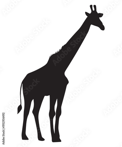 Giraffe vector silhouette illustration black color Illustrations