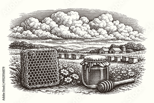 Vintage engraving line art vector illustration of beekeeping farm with honeycomb and jar, detailed black and white rural landscape sketch
