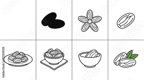 Almond Nut Icon Set Whole Shelled Roasted and Bowl Snack Line Art Vector Illustration Collection