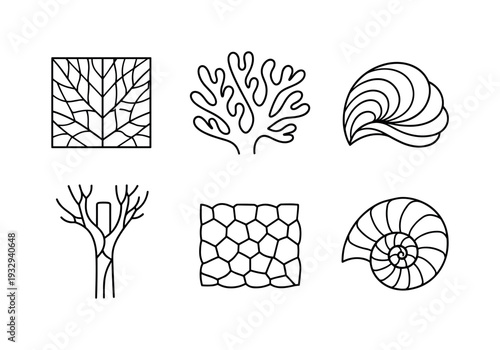 Line style icons of bio-inspired generative forms: leaf vein panel, coral-like structure, shell curvature module, branch-split