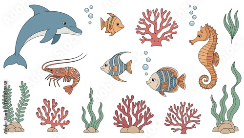 Extensive collection of marine life illustrations including a dolphin, seahorse, shrimp, various tropical fish, and coral reef plants.