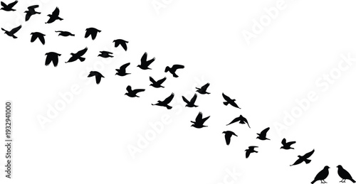 Flying Birds Silhouette Flock Minimal Black Nature Vector Illustration Isolated on White Background