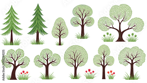 Set of various leafy and evergreen tree illustrations accompanied by small clusters of grass and red tulips for landscape design.