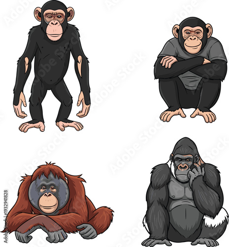 Cartoon great apes collection featuring chimpanzee, gorilla and orangutan in various poses, detailed wildlife animal vector illustration isolated background