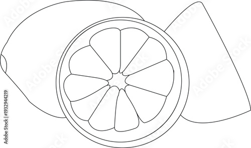 hand draw Citrus fruits icons illustration set, Citrus fruits fresh line sketch