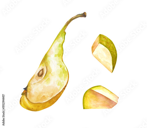 Watercolor quarter of a pear with a core and a peduncle and sliced pieces of a pear. Realistic botanical illustration on an isolated background. A juicy fruit clipart in natural colors for menus and