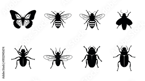 Variety of insect silhouettes including butterfly, bees, beetles, ant, and fly, perfect for educational content, biology studies, nature exploration, ecology projects, or graphic design