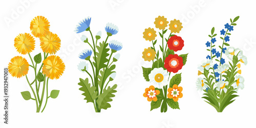 Colorful floral bouquets with dandelions cornflowers and other wildflowers