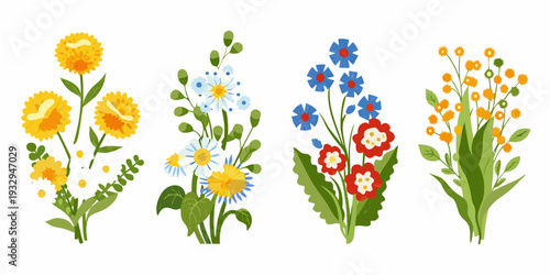 A colorful collection of illustrated wildflowers and blossoming plants