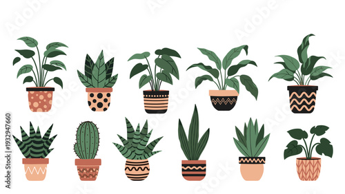 Wide variety of indoor houseplants are presented in decorative ceramic pots with unique geometric patterns and earthy tones for interior design.