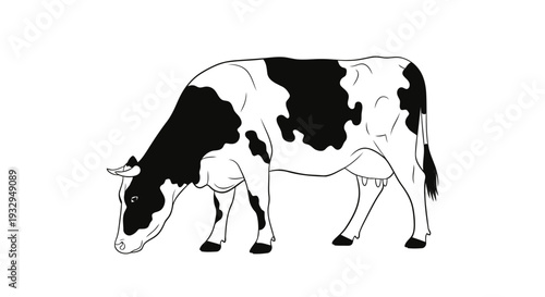 cow