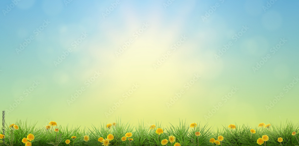 Naklejka premium Yellow dandelions growing among green grass under blue sky. Spring season
