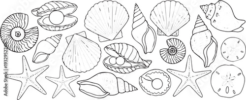 Hand-Drawn Outline Seashells, Starfish, and Pearl Vector Set - Beach and Ocean Life Elements for Coastal Designs