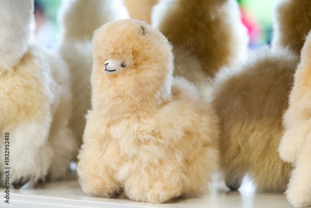 Fototapeta premium Cute alpaca plush toy