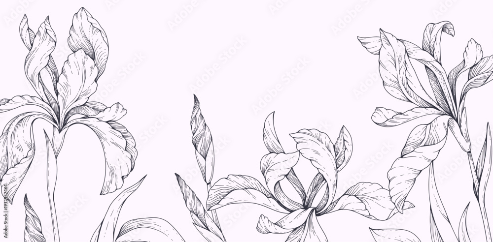 Fototapeta premium Wild irises blooming, background with flowers and brunch. Detailed botanic floral collection for Valentines day invitation, wallpaper art
