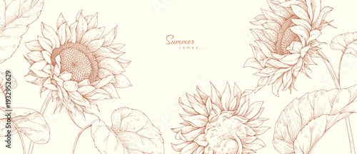 Sunflowers background with flowers and leaves. Detailed hand drawn ink floral illustration for summer invitation, wallpaper art
