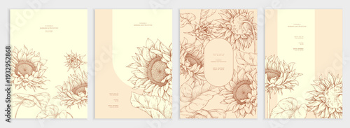 Set of card with blooming sunflower hand drawn flowers and leaves. Detailed template layout design for brochure, cover or wedding