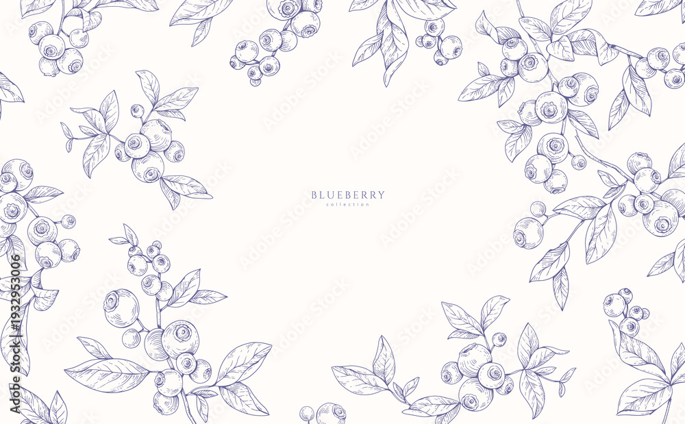 Naklejka premium Background with blueberry berry and brunch. Detailed hand drawn ink floral illustration for invitation, wallpaper art or save the date