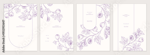 Set of card with fig tree brunch and leaves. Detailed hand drawn ink illustration for template layout design, brochure or cover for food card