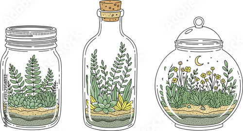 Glass terrarium jars with plants and soil illustrated in hand drawn style isolated on white background for home decor, gardening, and botanical design concepts