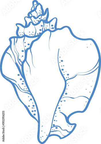 Blue line art seashell illustration, minimal nautical design vector