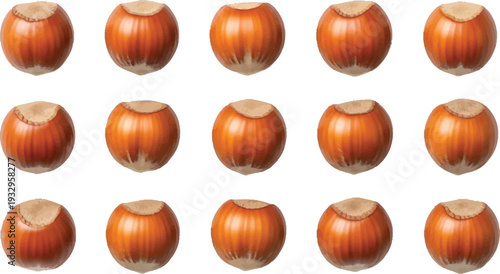 Hazelnuts Isolated on White Background