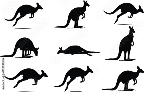 Kangaroo silhouette collection, jumping standing crouching lying poses, vector illustration, Australian wildlife icons, animal posture design resource, black outline art