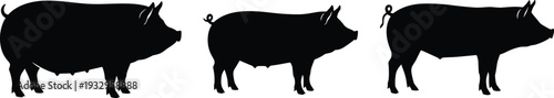 Pig silhouette collection, farm animal vector illustration, livestock icons, black outline pigs, agriculture design resource, rural farming, domestic animal art