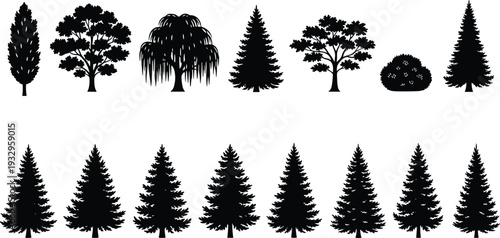 Tree silhouette collection, vector illustration, coniferous broadleaf willow bush icons, black outline design, botanical resource, nature landscape art