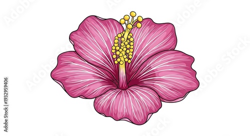 Pink Hibiscus Flower Illustration - Exotic Bloom