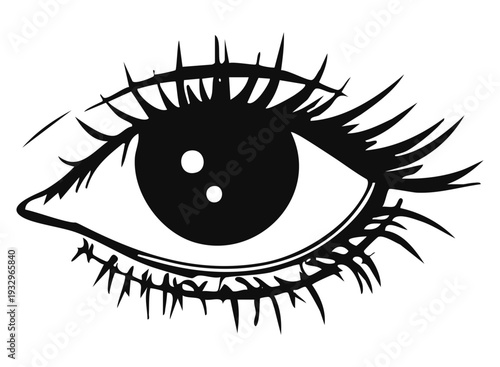 line art vector close view of human eye with black pupils and dark eyelashes is shown on white background. focus is on the details of eye structure