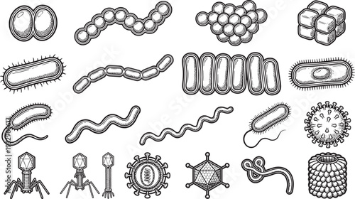 Diverse illustration of microscopic bacteria and viruses, showcasing various shapes and structures, ideal for educational or scientific projects.