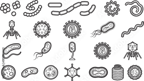 A collection of detailed line-art illustrations showcasing the intricate forms of bacteria and viruses, essential elements of microscopic life.