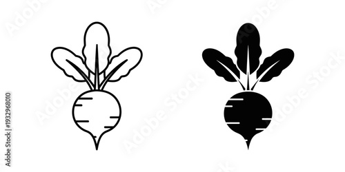 Illustration of a turnip with and without its leafy green tops attached